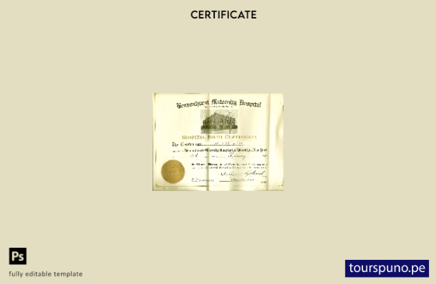 Plantilla de certificado de nacimiento del hospital de maternidad Bensonhurst de